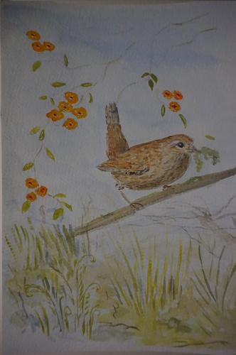 Wren