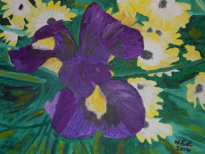 Iris