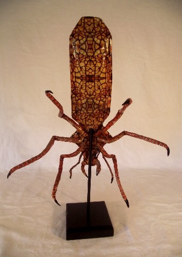 Cabinet of Curiosities Insect Specimen