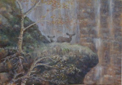 Deer on a rock